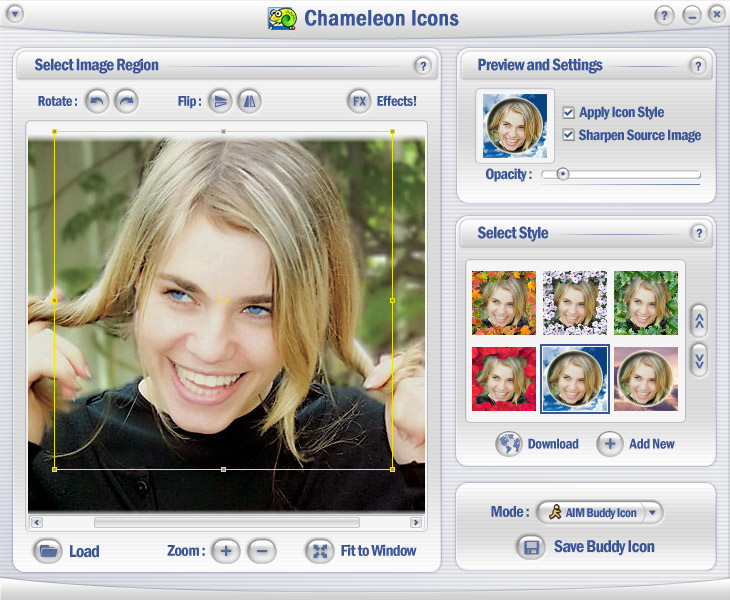 Chameleon Icons 1.0 software screenshot