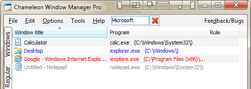 Chameleon Window Manager Lite 2.2.0.427 software screenshot