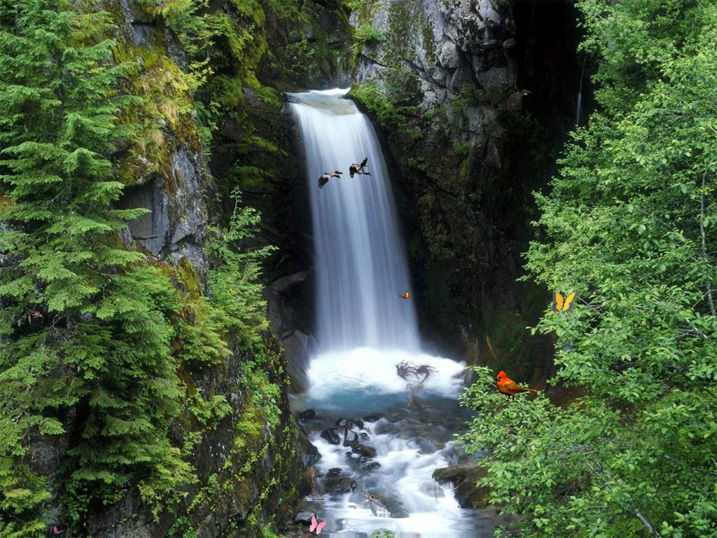 Charming Waterfalls ScreenSaver 1.0 software screenshot
