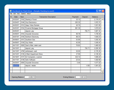 Checkbook for Flash Drives 1.03 software screenshot