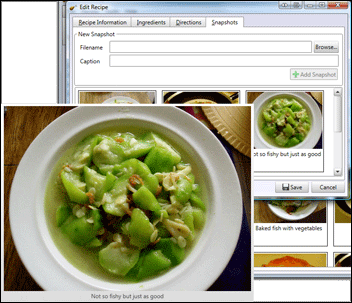 ChickenPing 2.1.0.0 software screenshot