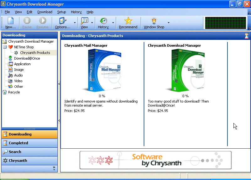 Chrysanth Download Manager 1.6 software screenshot