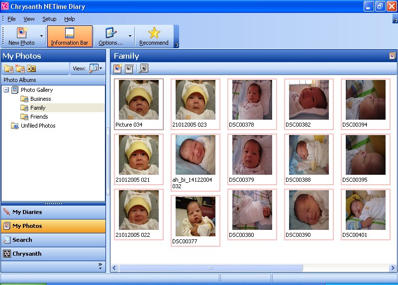 Chrysanth NETime Diary 1.1 software screenshot