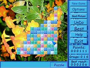 ClickPuzzle Gold 1.21 software screenshot