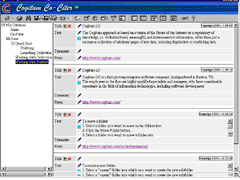 Cogitum Co-Citer 1.0 software screenshot