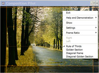 Composition Pilot 1.50 software screenshot