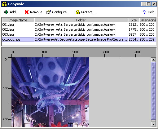 Copysafe Web Protection 4.0 software screenshot