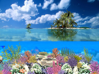 Coral Island 5.07 software screenshot