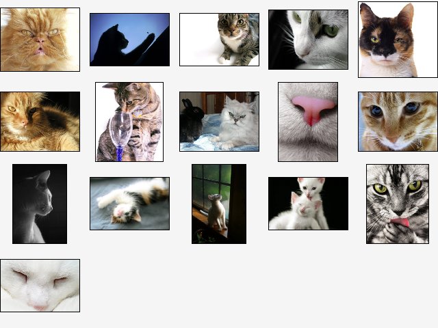 Cute Kitties Screensaver 1.0 software screenshot