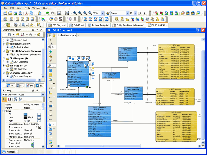 DB Visual ARCHITECT for Windows 6.0 software screenshot