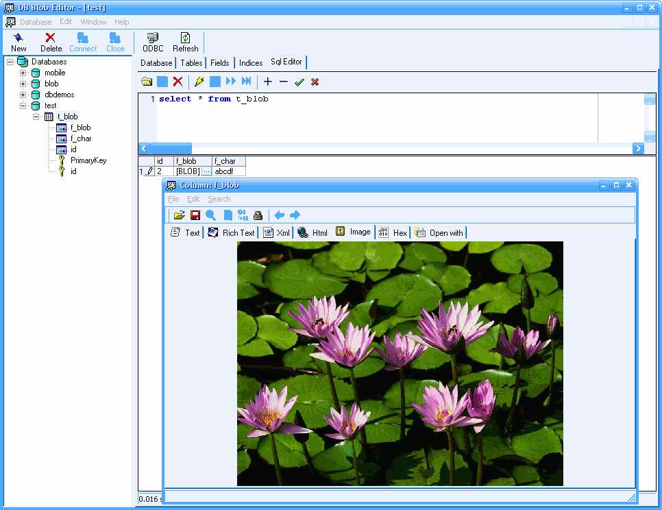 DBBlobEditor 6.1.1.161116 software screenshot