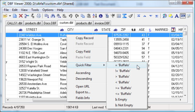 DBF Viewer 2000 6.55 software screenshot