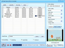 DDVideo Flash(SWF) to RM Converter 3.6 software screenshot