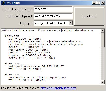 DNS Thing 1.0a software screenshot
