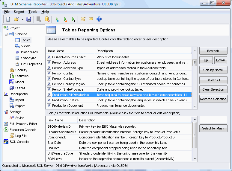 DTM Schema Reporter 1.29.10 software screenshot