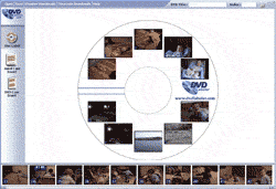 DVD Labeler 3.00.0011 software screenshot