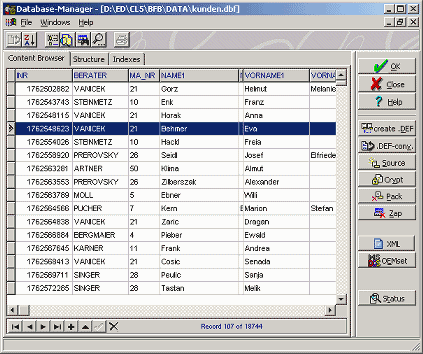 Database Manager 2.1 software screenshot