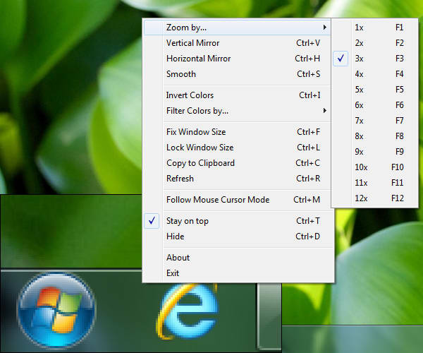 Desktop Zoom 6.1.0.0 software screenshot