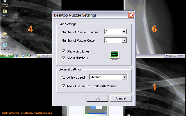 DesktopPuzzle Screen Saver 1.0 software screenshot