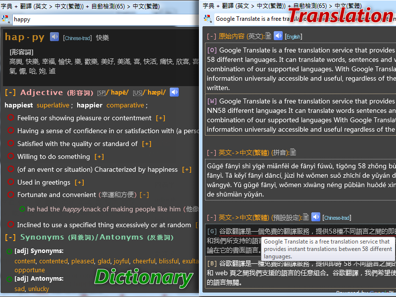 Dictionary .NET 8.8.6372.1 software screenshot
