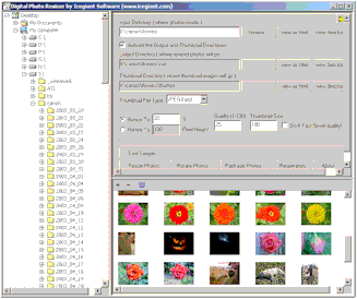 Digital Photo Resizer 2006 software screenshot