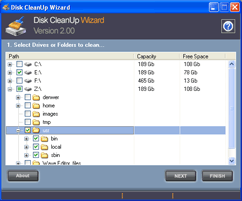 Disk CleanUp Wizard 2.1.0.0 software screenshot