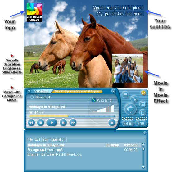 DivX Operational Player 1.35 software screenshot