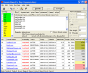 Domain Name Pro 5.33 software screenshot