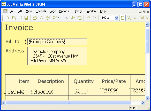Dot Matrix Pilot 2.11 software screenshot
