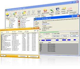 Download Accelerator Manager 4.5.49 software screenshot