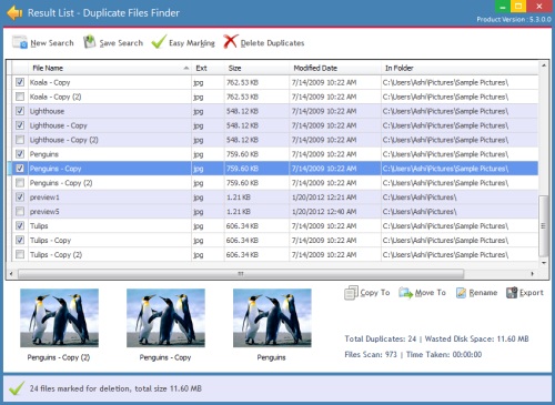 Duplicate Finder 6.2.2.0 software screenshot
