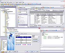 EMS SQL Manager for MySQL Freeware 4.5 software screenshot