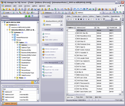 EMS SQL Manager for SQL Server 3.6 software screenshot