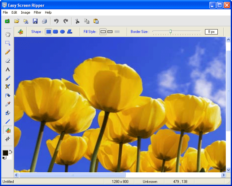 Easy Screen Ripper 3.2 software screenshot