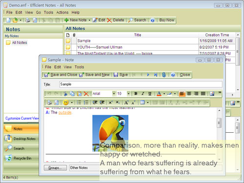 Efficient Notes 5.22.530 software screenshot