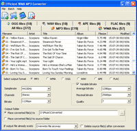 Efficient WMA MP3 Converter 0.99.9.2 software screenshot