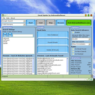 Email Spider 3.1 software screenshot