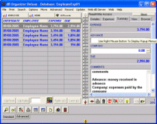 Employee Expense Organizer 3.7 software screenshot