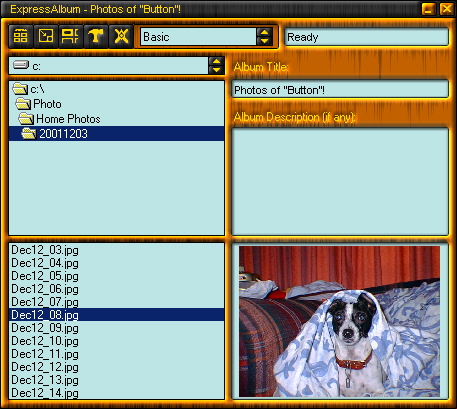 ExpressAlbum 2.1 software screenshot
