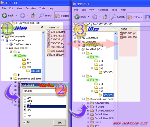 Extension Copy 5.1125 software screenshot