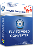 FLV Converter 2.0 software screenshot