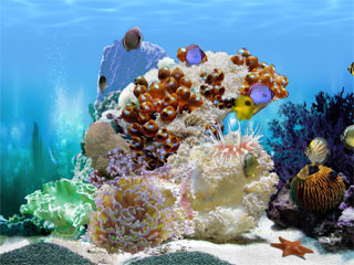FP :: Amazing 3D Aquarium ADD-on  :: Chaetodont II - Fish Pack 1.00 software screenshot