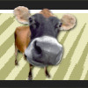 Farm Animal Sounds - MorphVOX Add-on  for to mp4 4.39 software screenshot