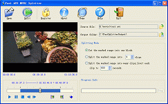Fast AVI MPEG Splitter 1.2.0812 software screenshot