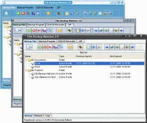 File Backup Watcher Professional 2.8.29.10 software screenshot