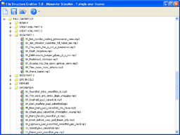 File Structure Grabber 1.36 software screenshot