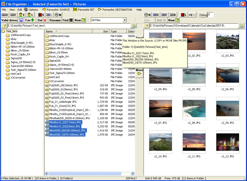 File Organiser 1.900 software screenshot