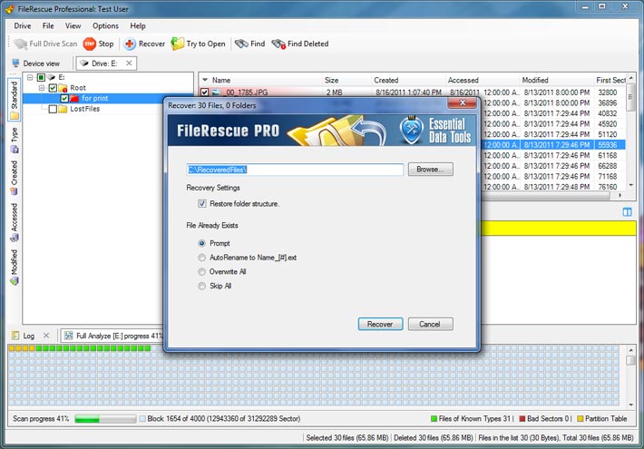 FileRescue Professional 4.12.211 software screenshot