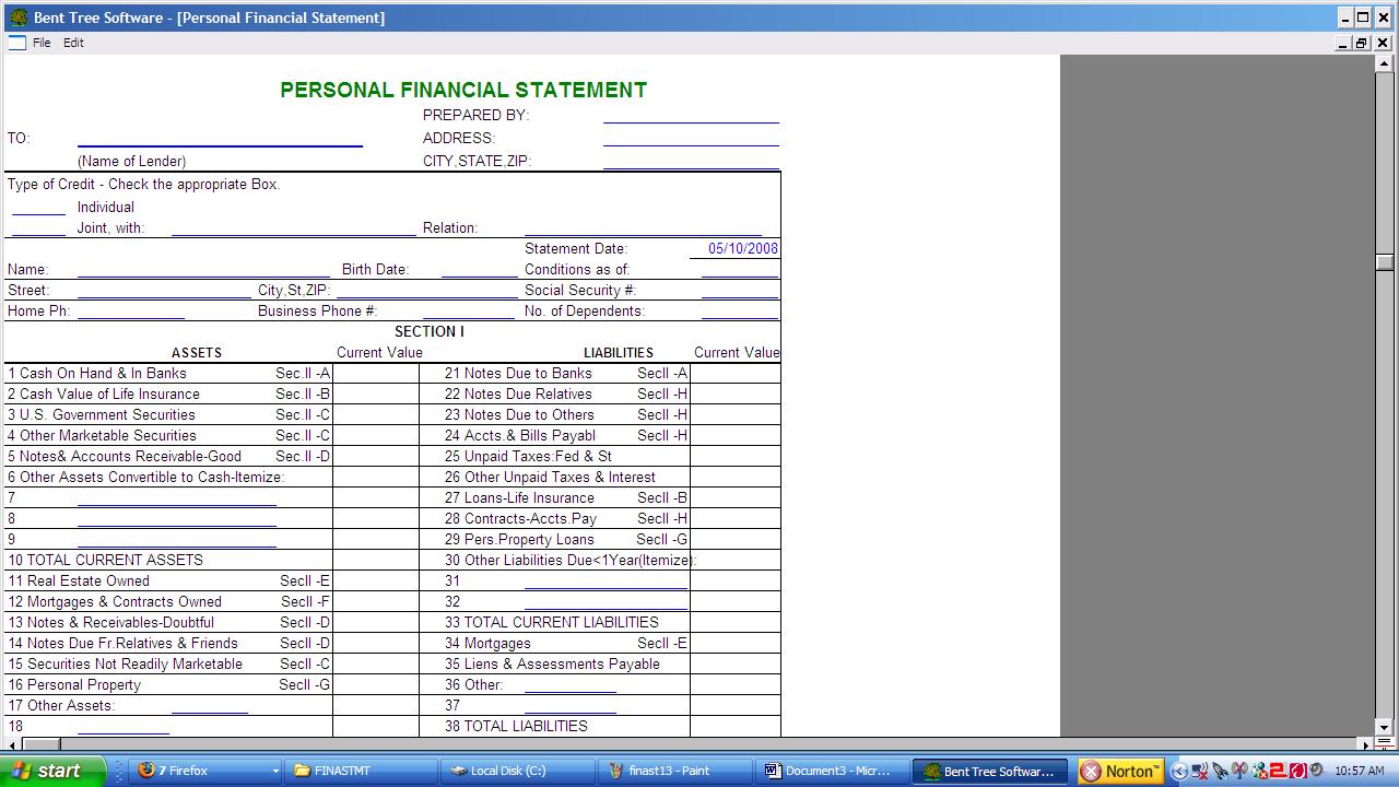 Financial Statement+ 1.0 software screenshot