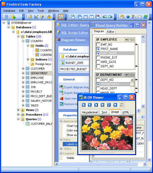 Firebird Code Factory 13.9.0.1 software screenshot